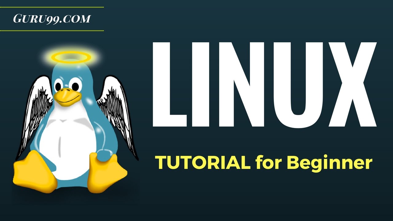 beginner linux tutorials