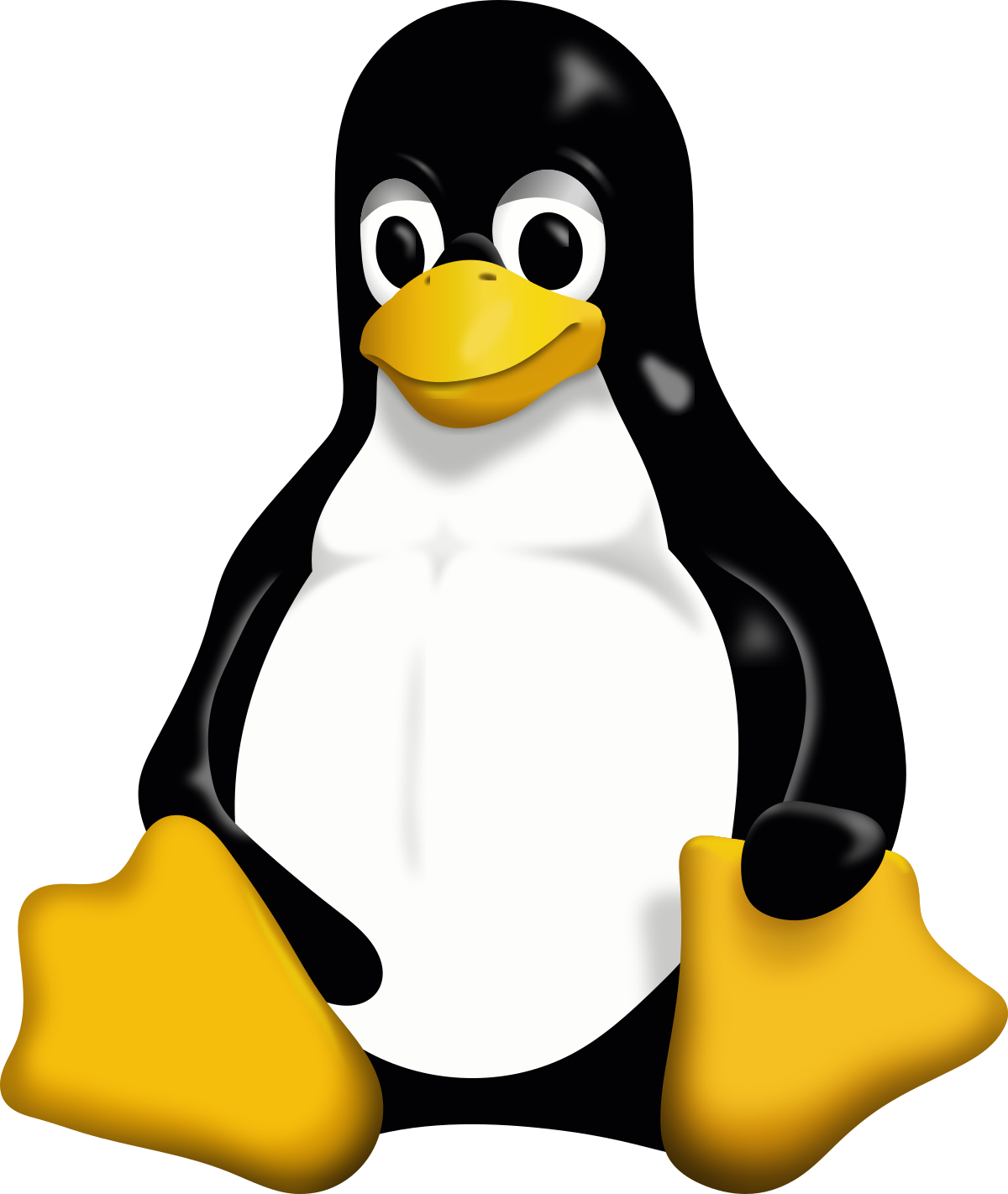 Command line interface in Linux