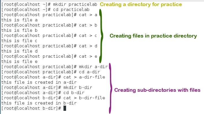 linux tar directory example